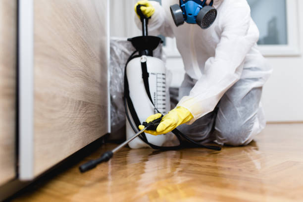 Best Affordable Pest Control Services  in Poncha Springs, CO
