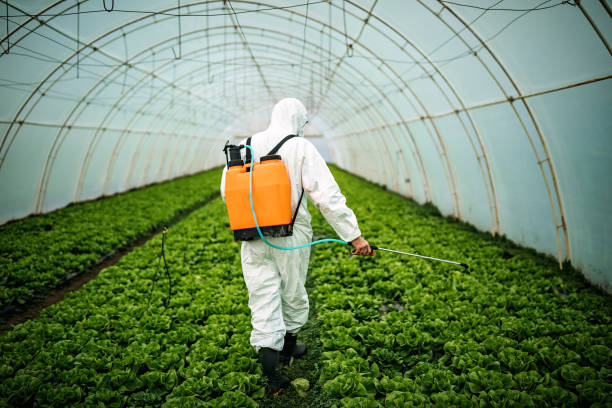 Best Pest Control Treatment  in Poncha Springs, CO