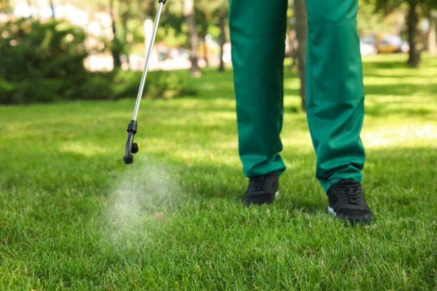 Poncha Springs, CO Pest Control Company
