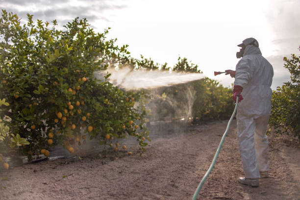 Best Pest Inspection Near Me  in Poncha Springs, CO