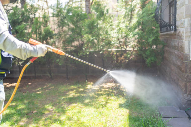 Bird Control in Poncha Springs, CO