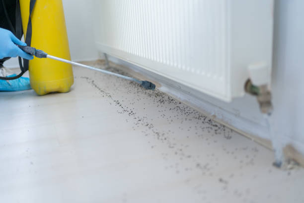 Best Best Pest Control Companies  in Poncha Springs, CO