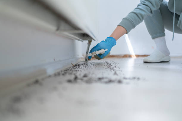 Best Exterminator Services  in Poncha Springs, CO