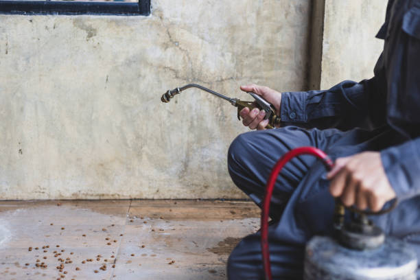 Best Ant Control Services  in Poncha Springs, CO