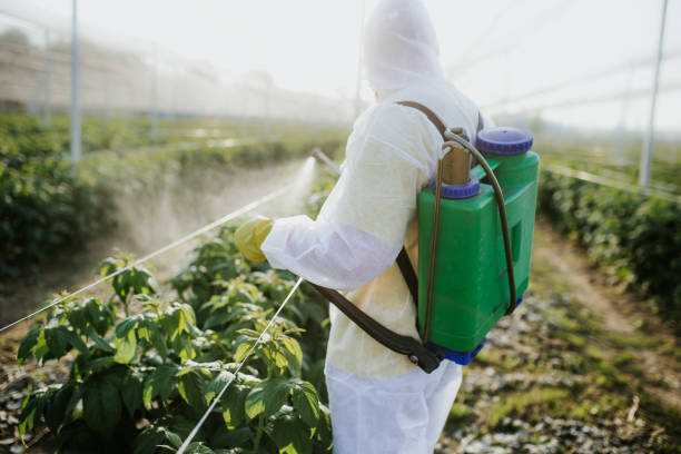 Best Mosquito Control Services  in Poncha Springs, CO